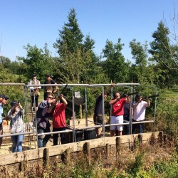 Clay Pigeon Shooting Church Enstone, Oxfordshire