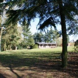 Clay Pigeon Shooting Lichfield, Staffordshire