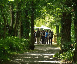 Clay Pigeon Shooting Cheltenham, Gloucestershire