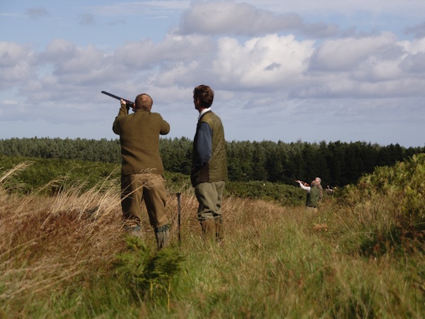 Clay Pigeon Shooting Swanley, Kent